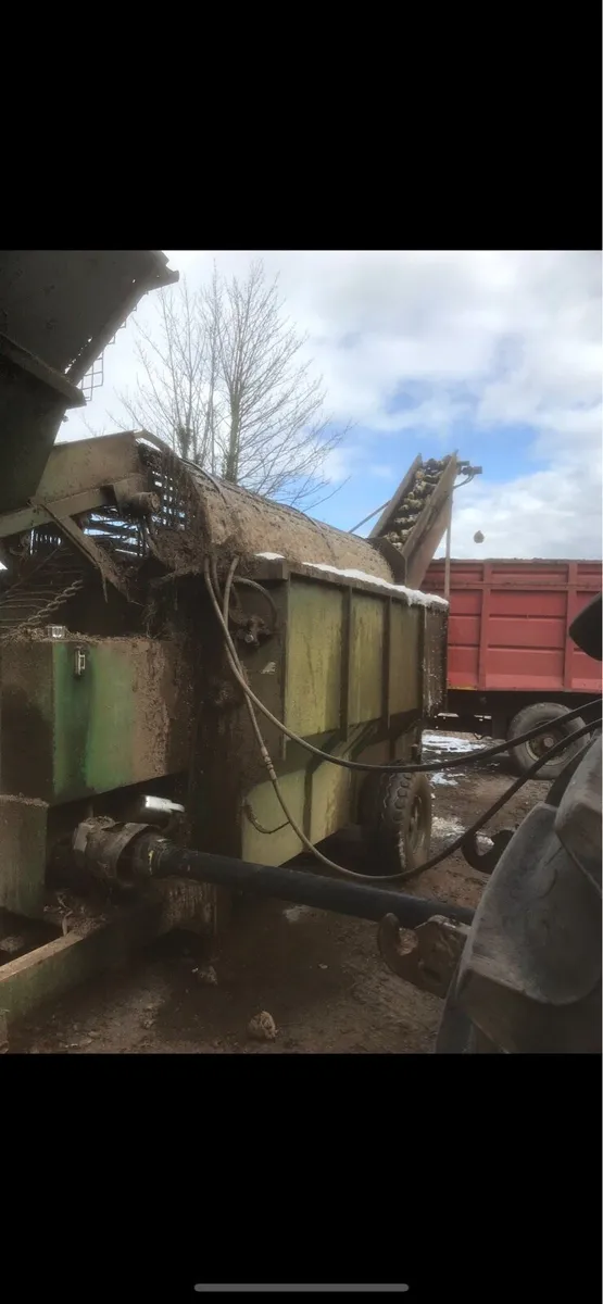 Fodder Beet - Image 3