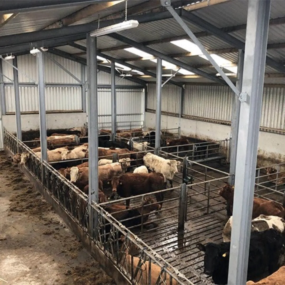 Livestock Slatted Shed Wanted