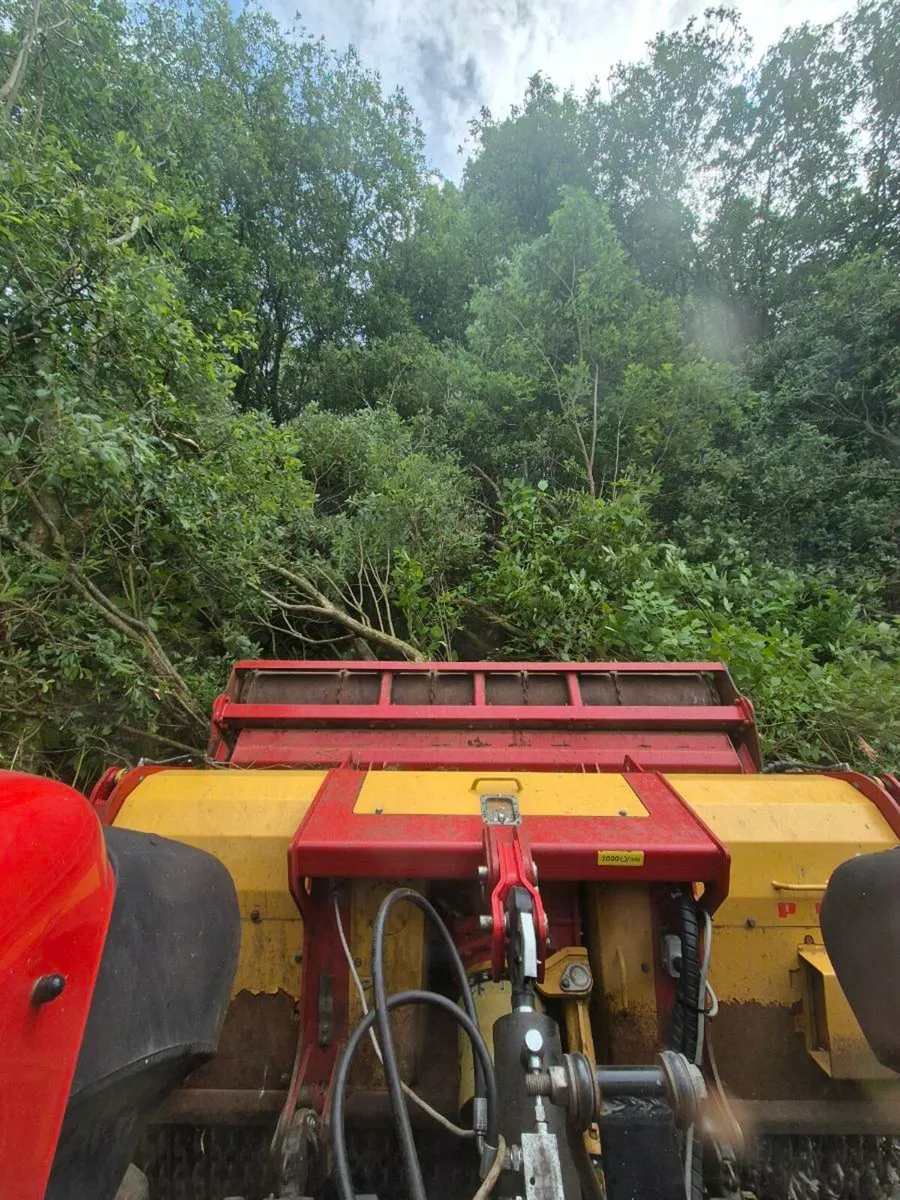Forestry Mulching/Stump Removal/Land Reclamation - Image 3
