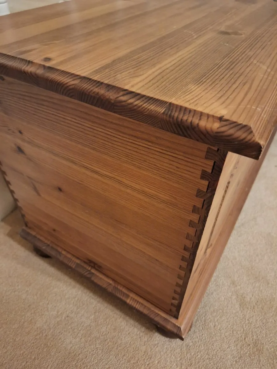 Storage trunk - Image 4