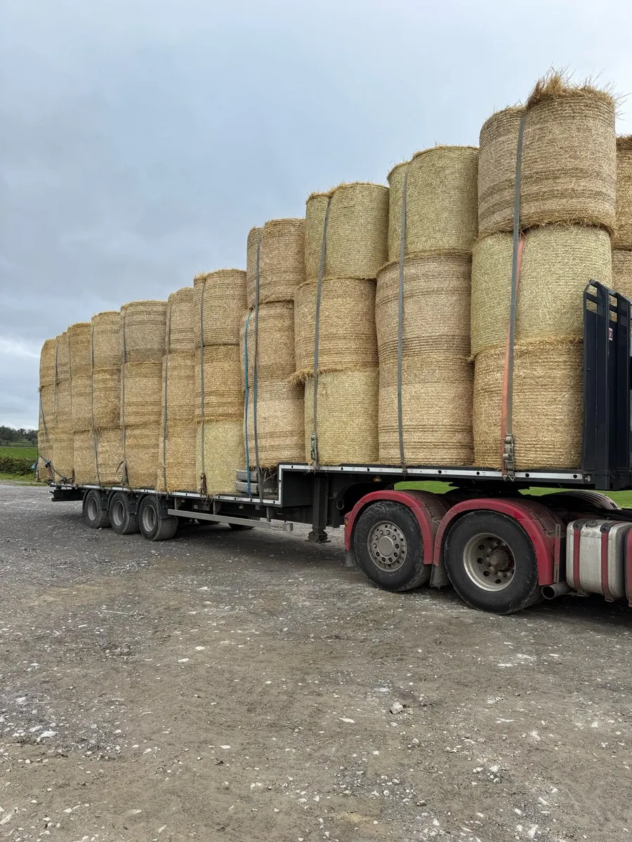 Bales to spare on load Ballaghdreen barley straw - Image 2