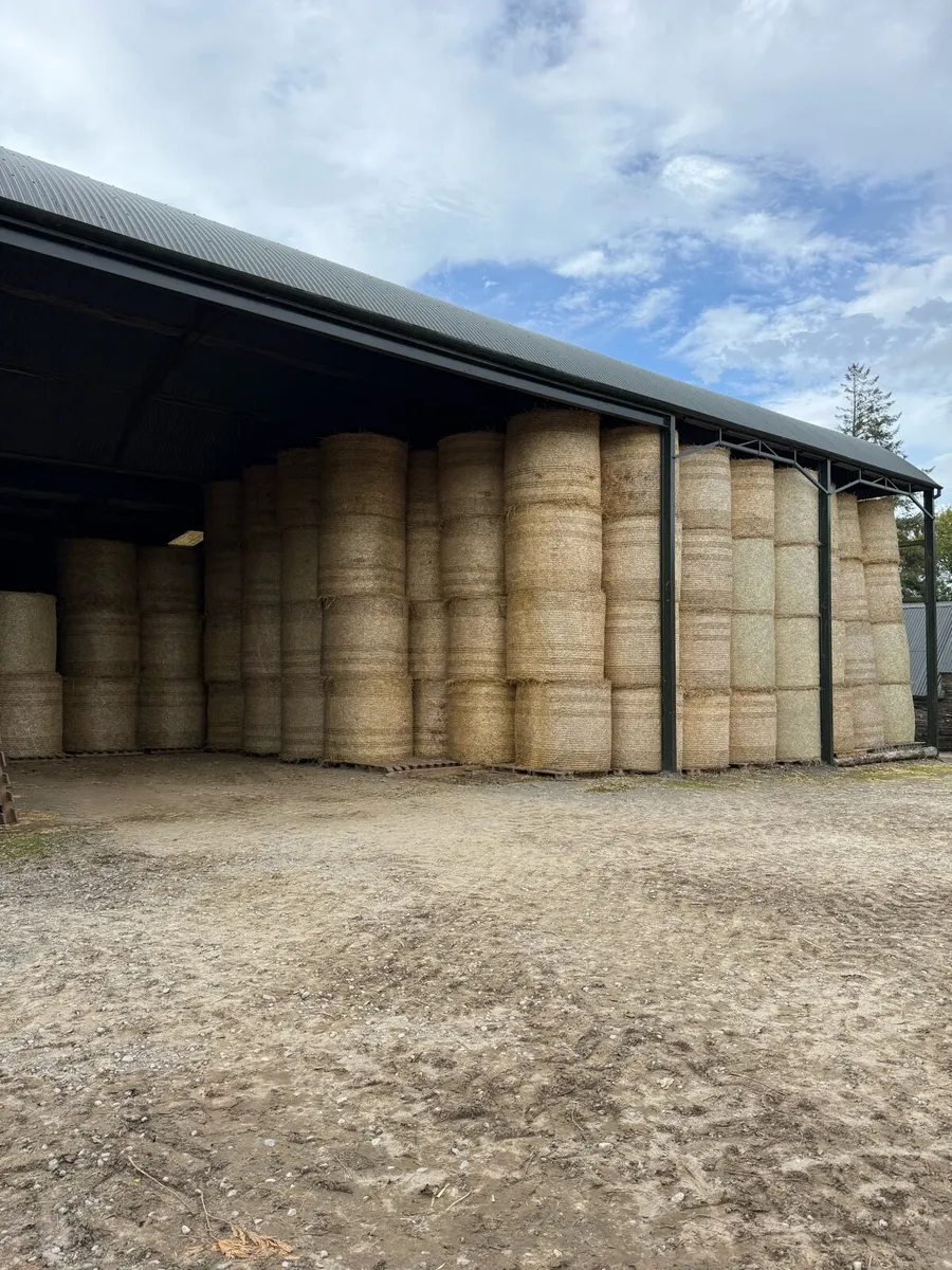 Bales to spare on load Ballaghdreen barley straw - Image 1