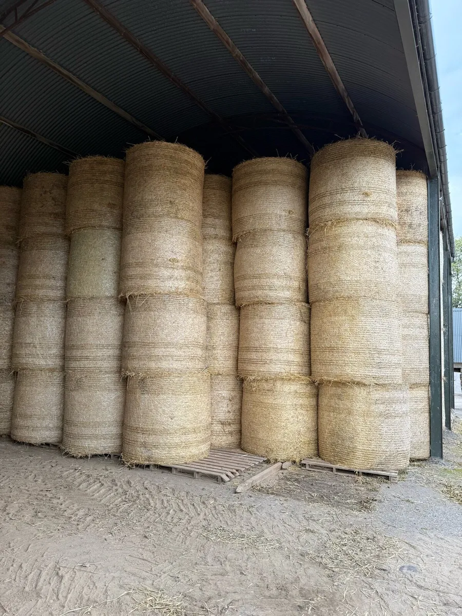 Bales to spare on load Ballaghdreen barley straw - Image 3