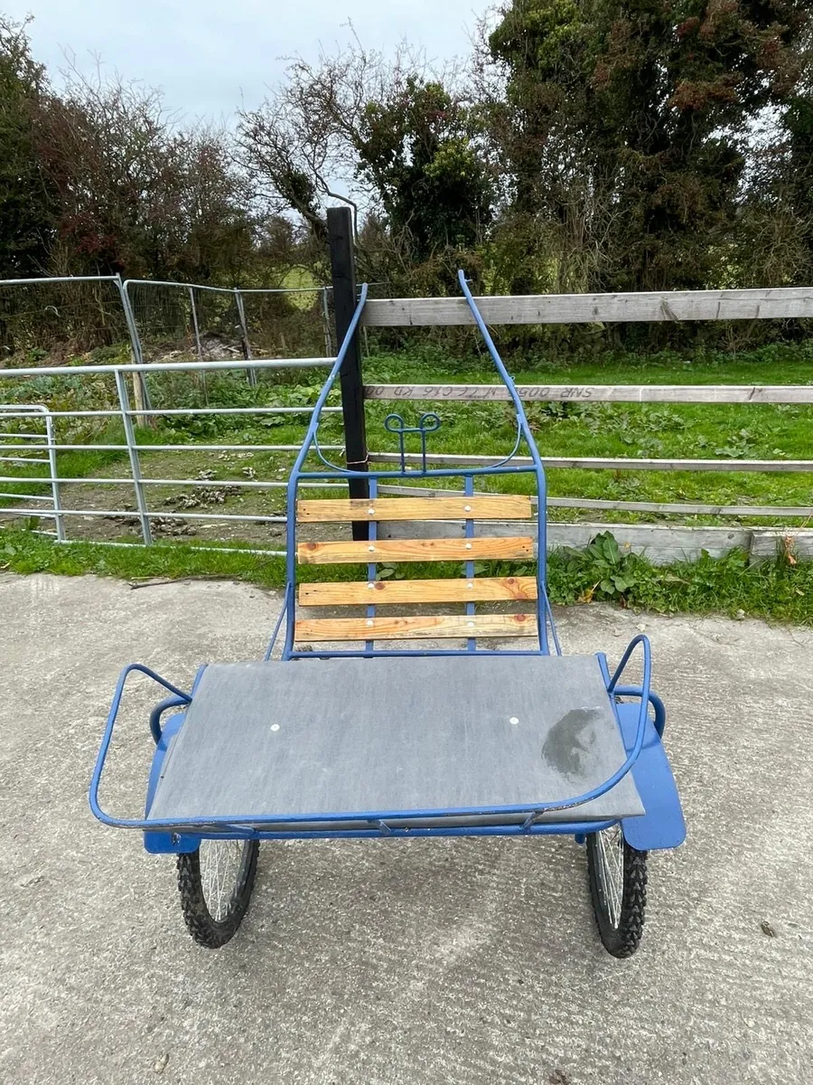 Road cart - Image 1