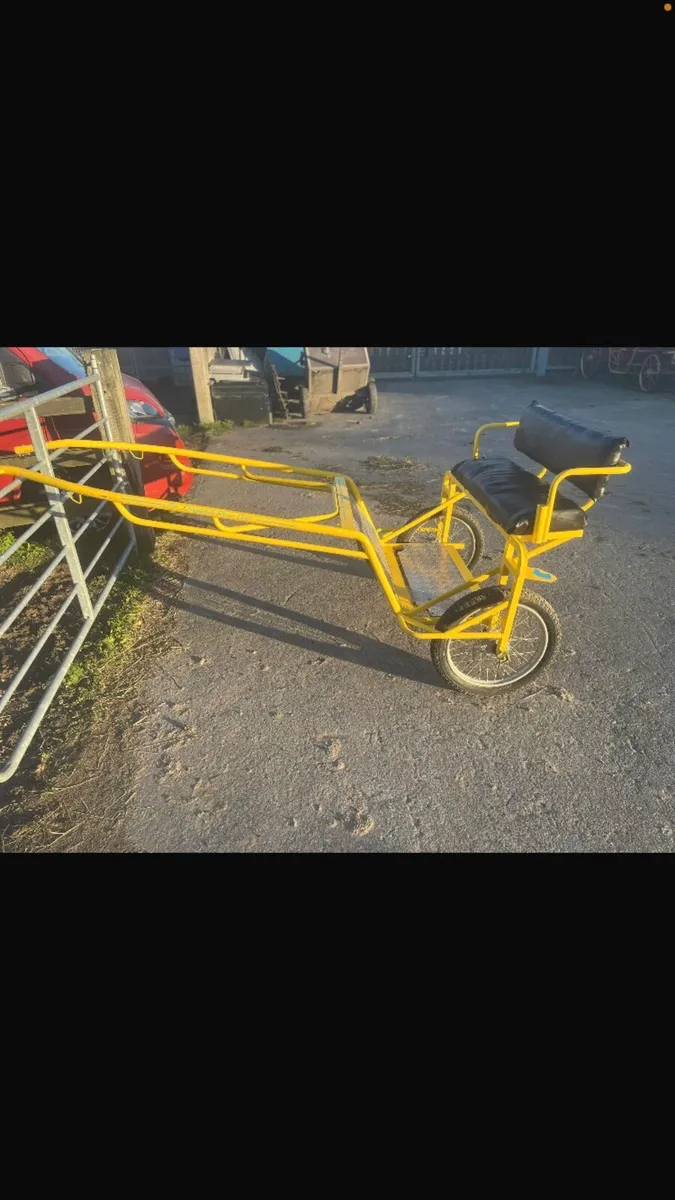 Bruv Road cart pony - Image 1