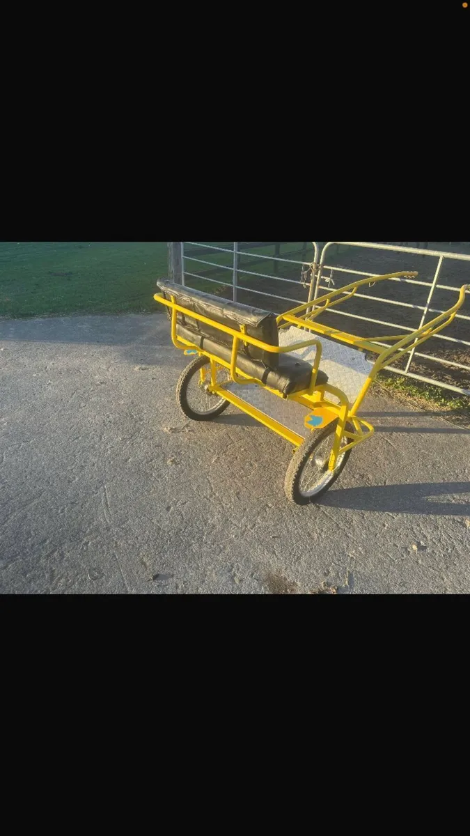 Bruv Road cart pony - Image 2