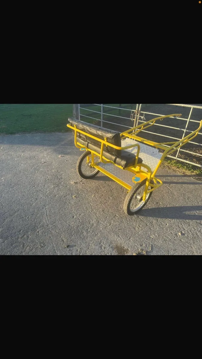 Bruv Road cart pony - Image 3