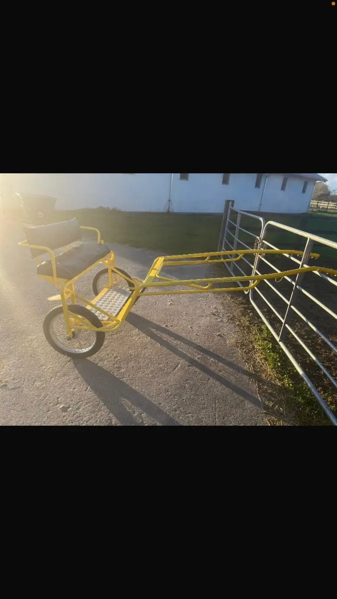 Bruv Road cart pony - Image 4