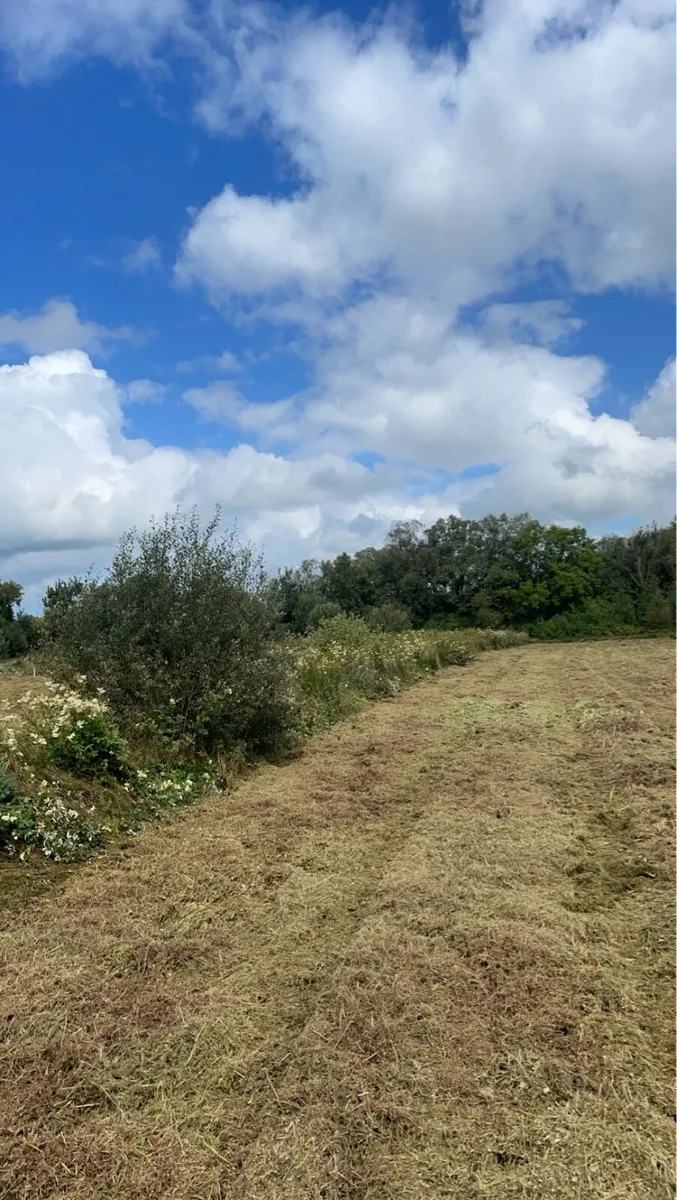 Mulching hire - Image 3