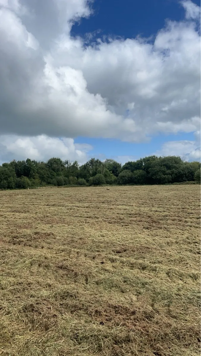 Mulching hire - Image 4