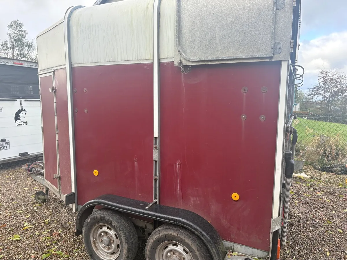 Double horse box - Image 1
