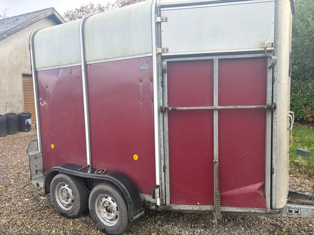 Double horse box - Image 4