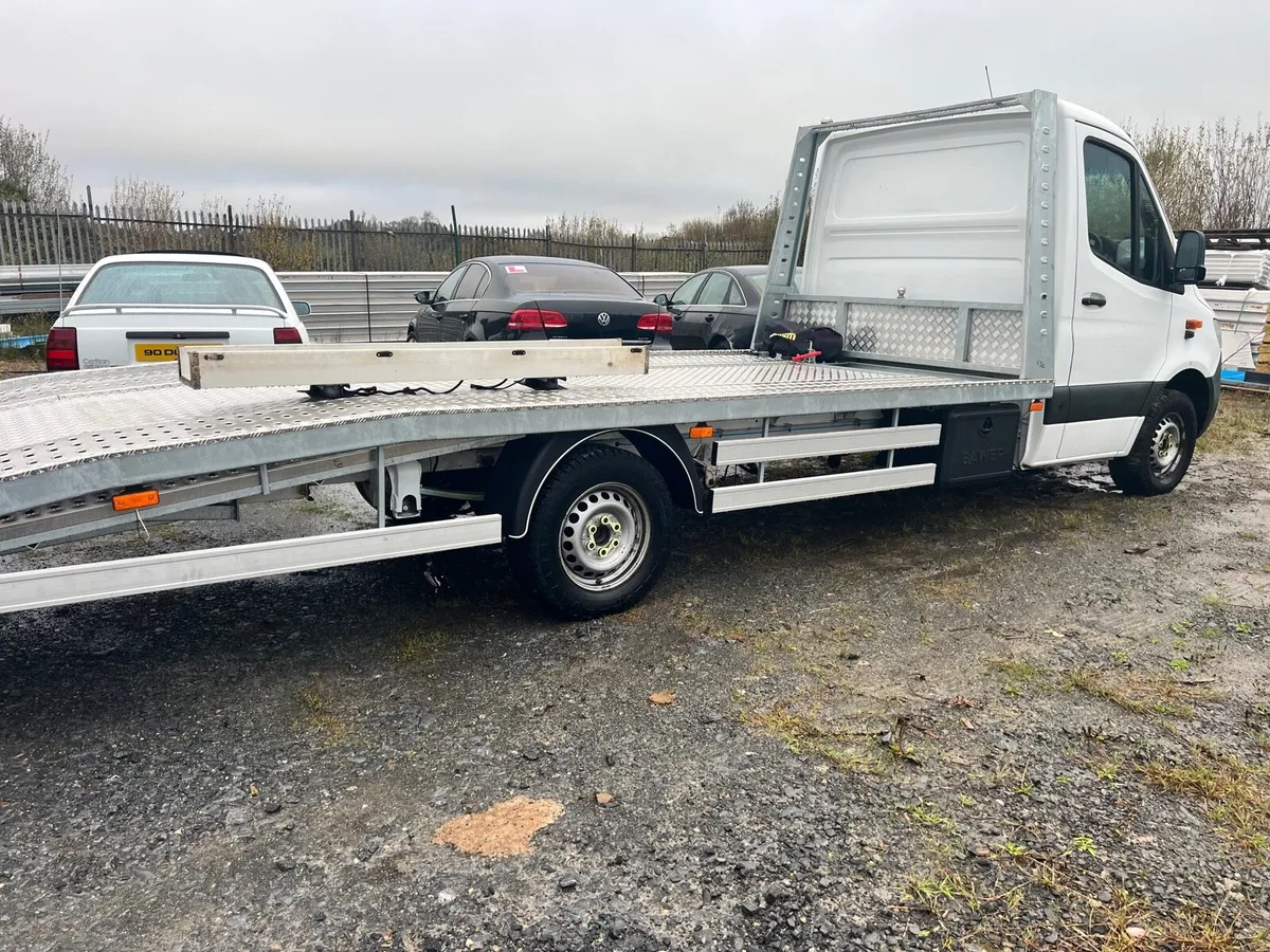 Recovery bodys - Image 2