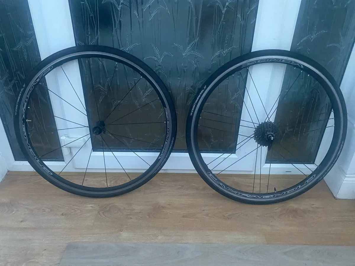 Campag Zonda Wheelset - Image 1