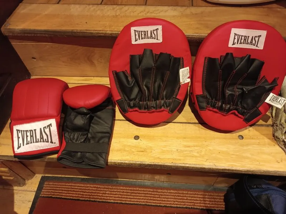 Boxing punch bag - Image 2