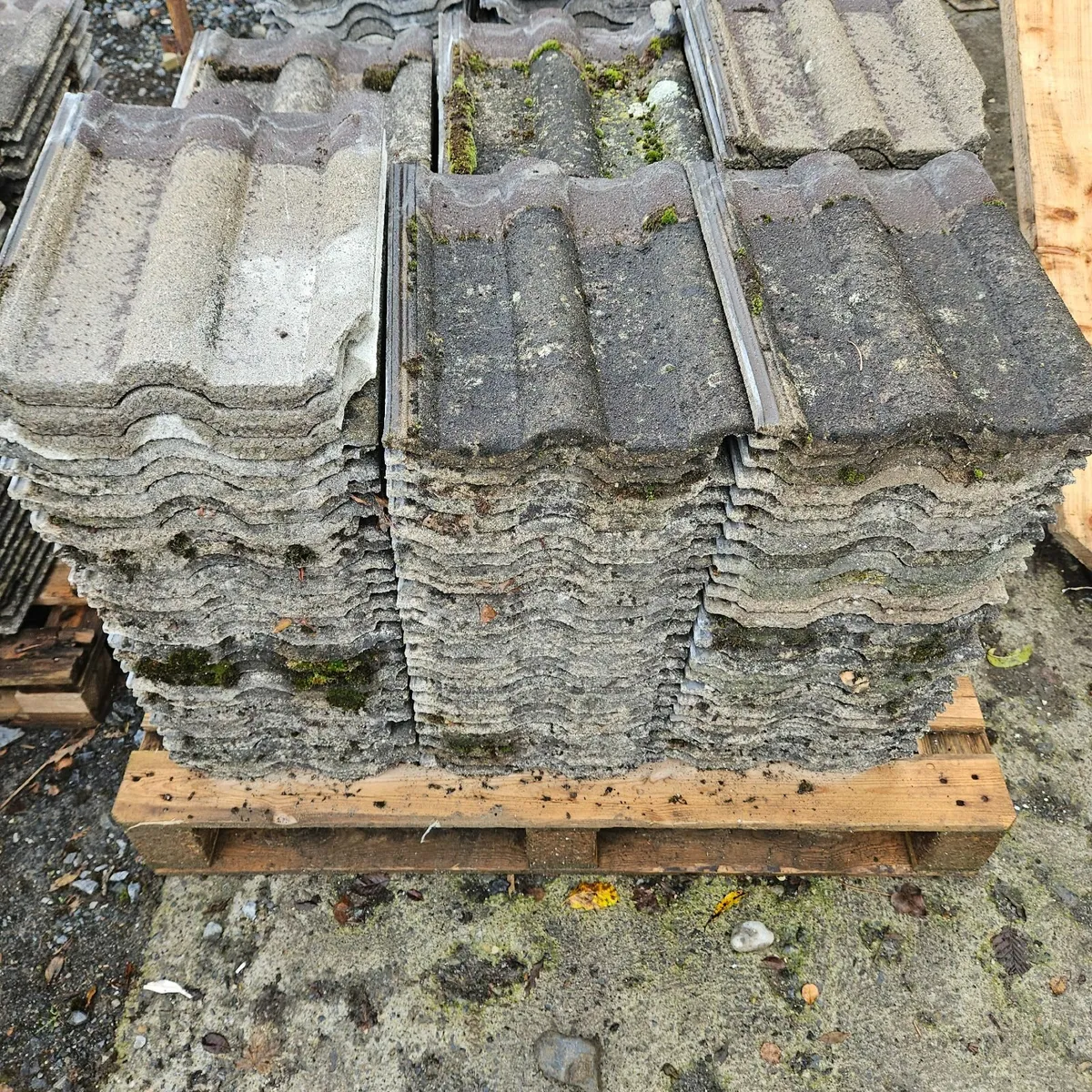 Redland 50 - Image 1