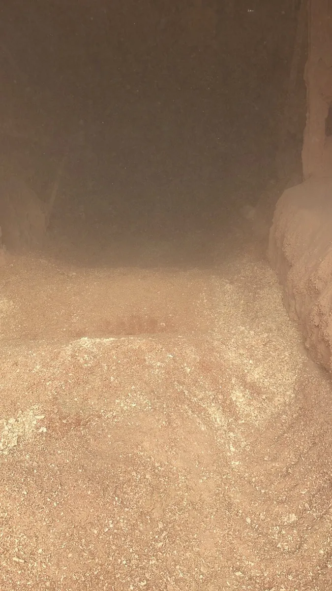 Shavings/sawdust - Image 1
