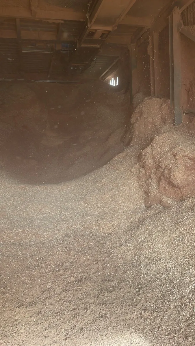 Shavings/sawdust - Image 2