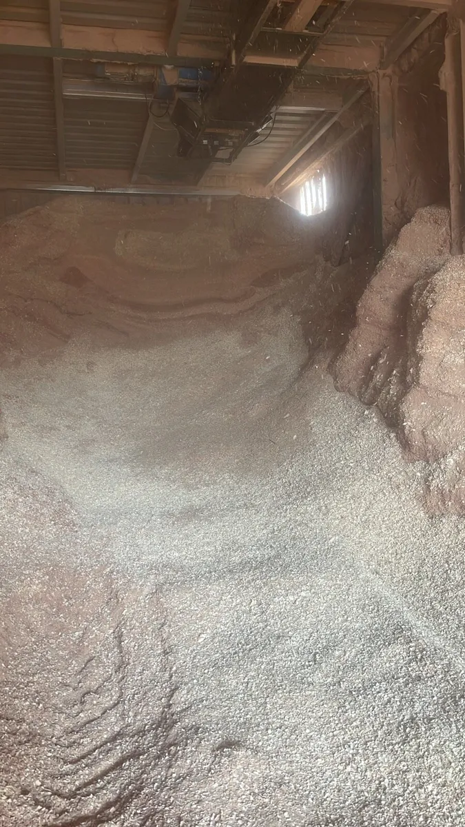 Shavings/sawdust - Image 3