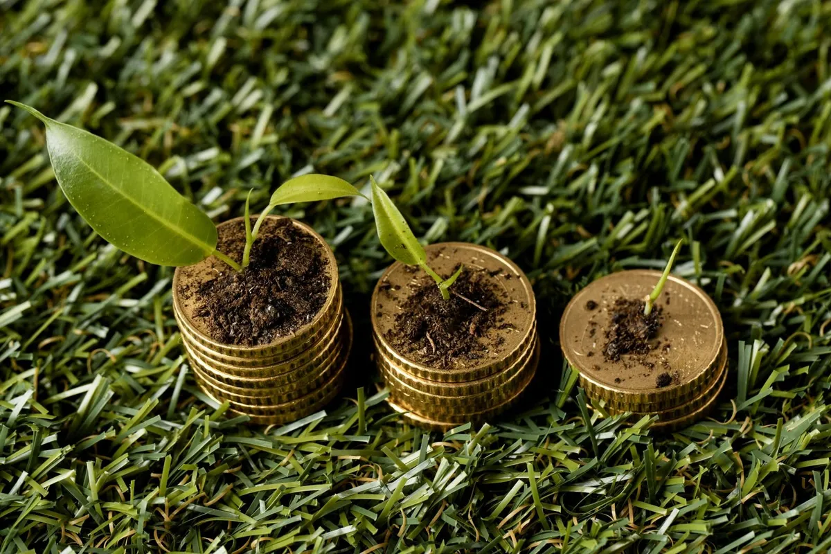 Farm Income Diversification Programme