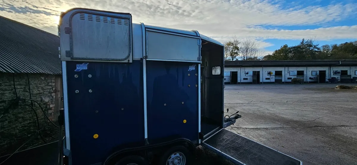 Ifor Williams 505 Horsebox - Image 2