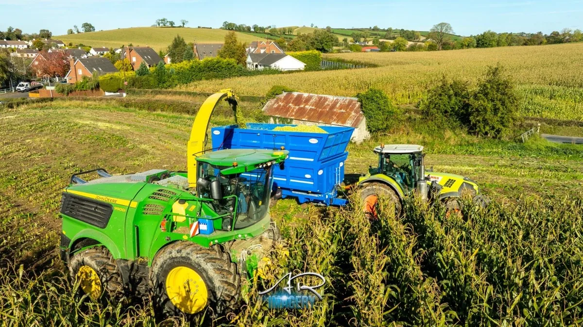 McKee 20 tone - Image 2