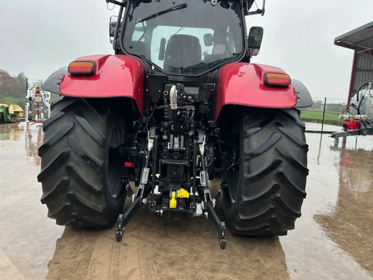 case puma 175 - Image 3