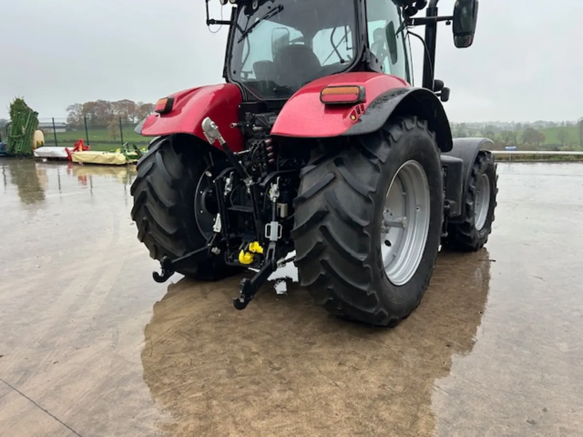 case puma 175 - Image 4