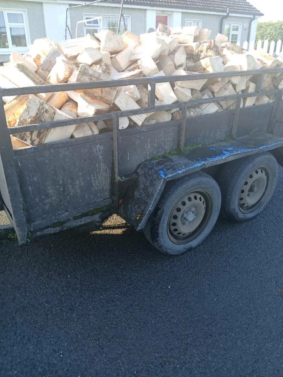 firewood - Image 1