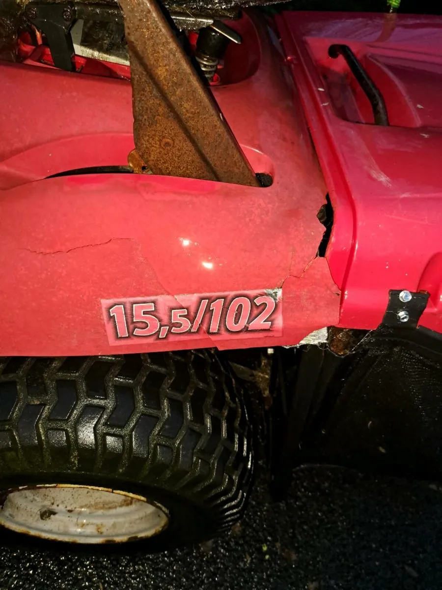 Castle garden - Image 2