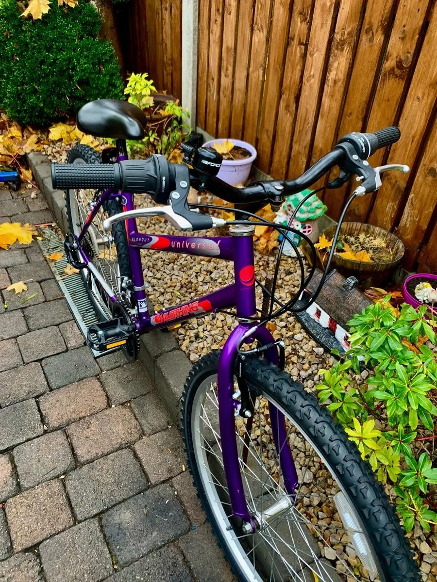 26” Bike Restored - Image 2