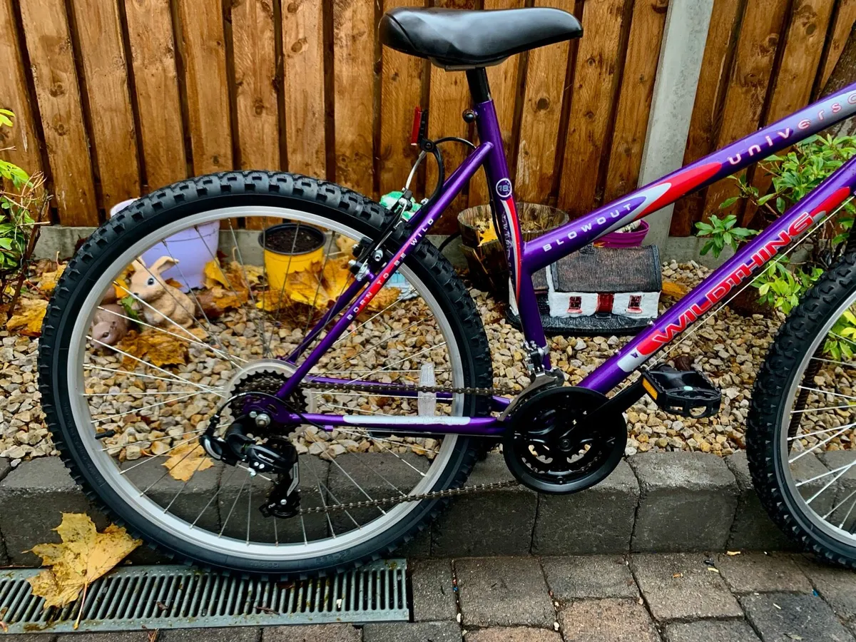 26” Bike Restored - Image 3