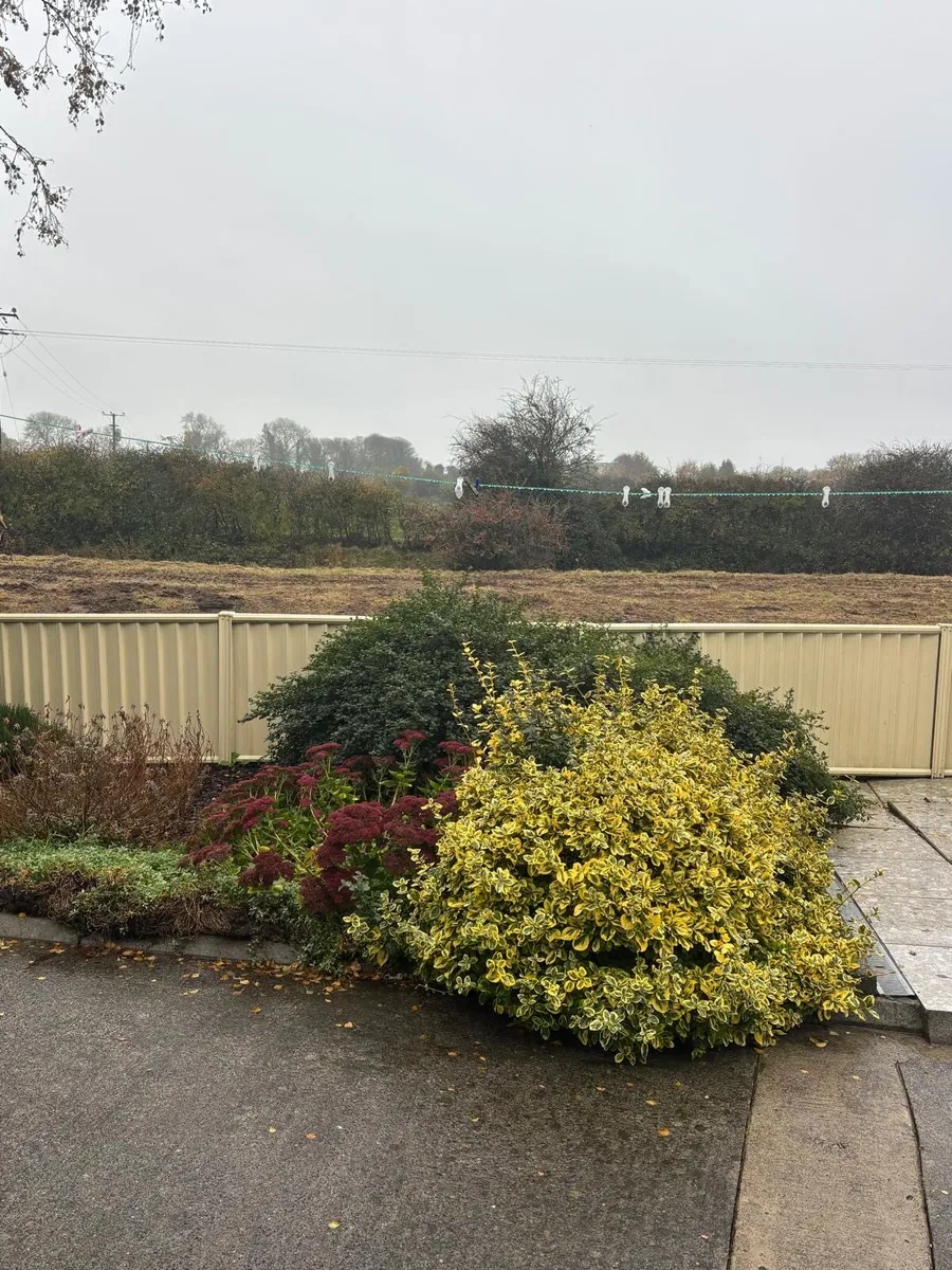 Metal Colour fence - Image 1