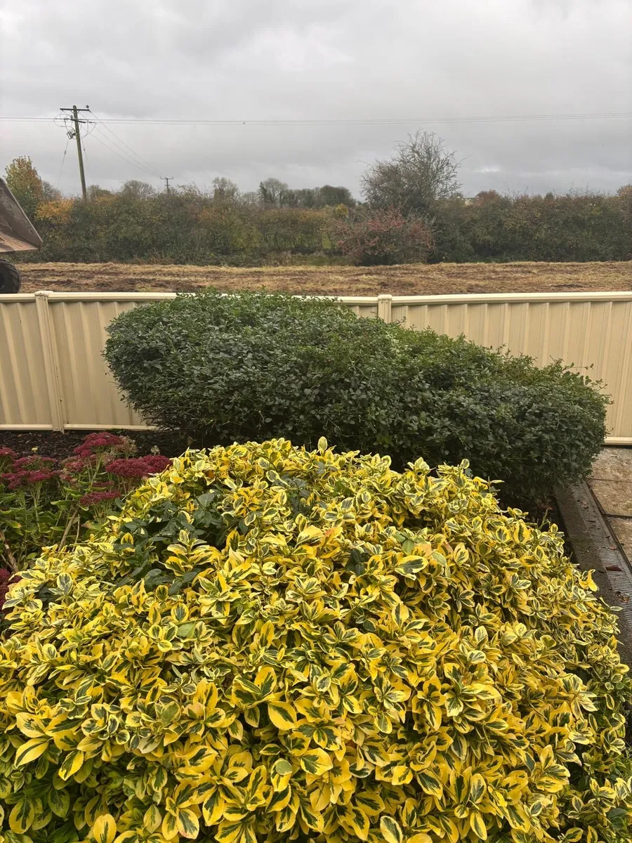 Metal Colour fence - Image 4