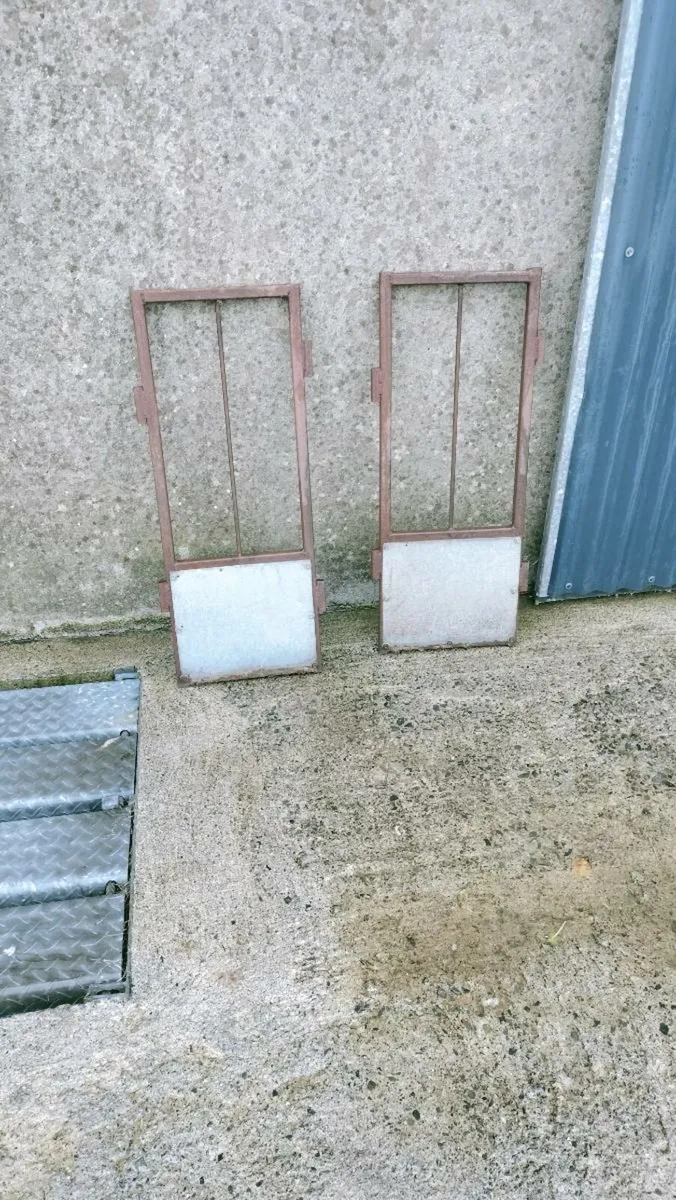 Sheep feeder - Image 2