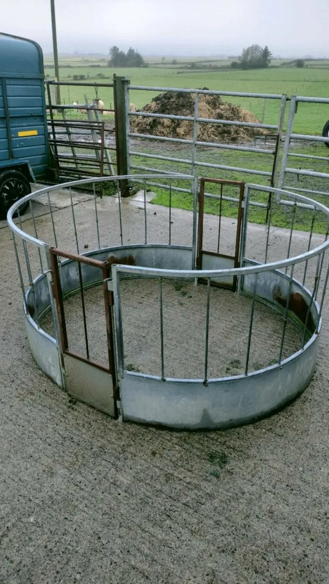 Sheep feeder - Image 3