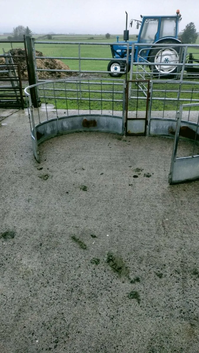 Sheep feeder - Image 4