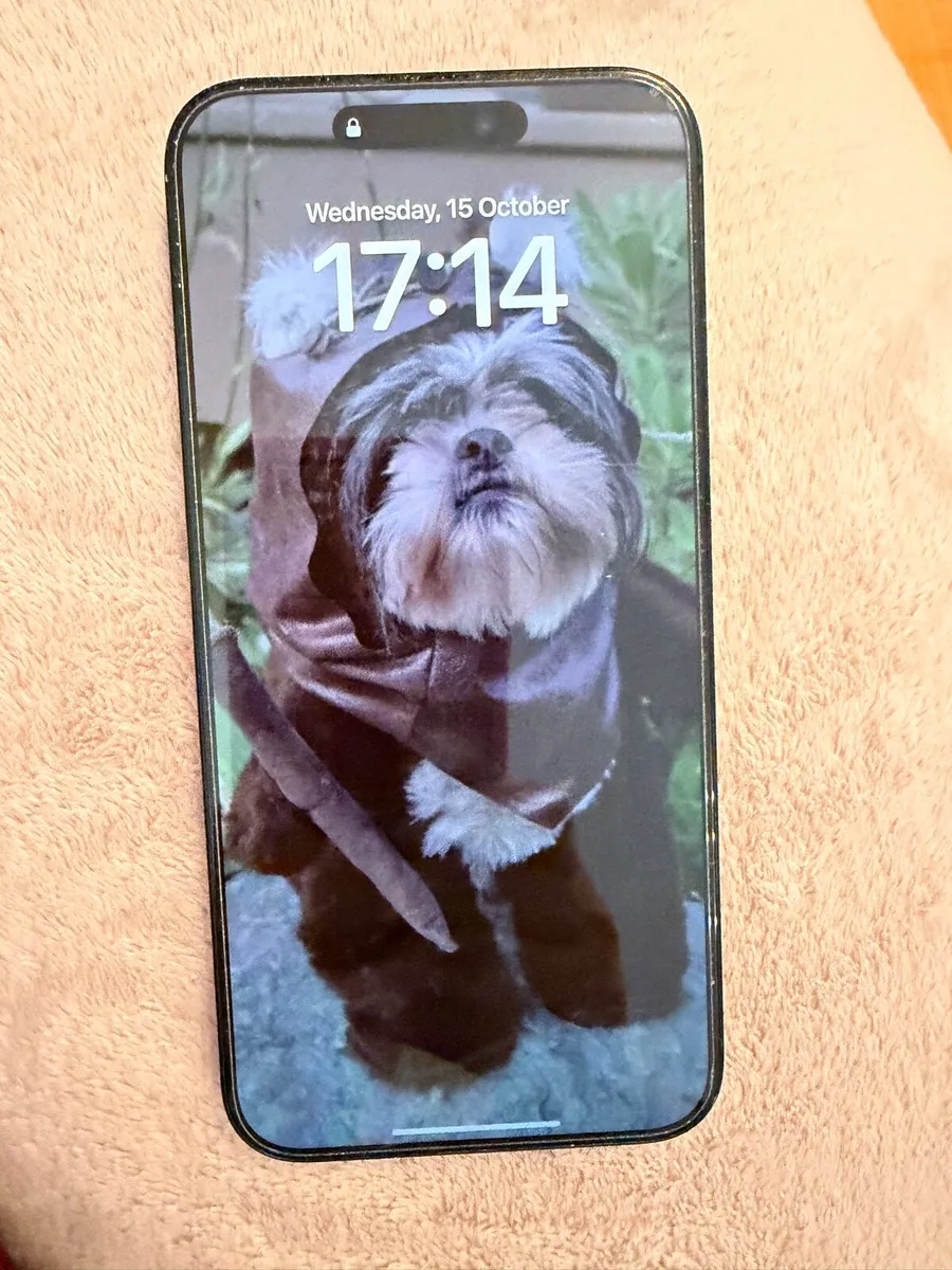 iPhone 15 Pro Max 256gb €750 ono - Image 2