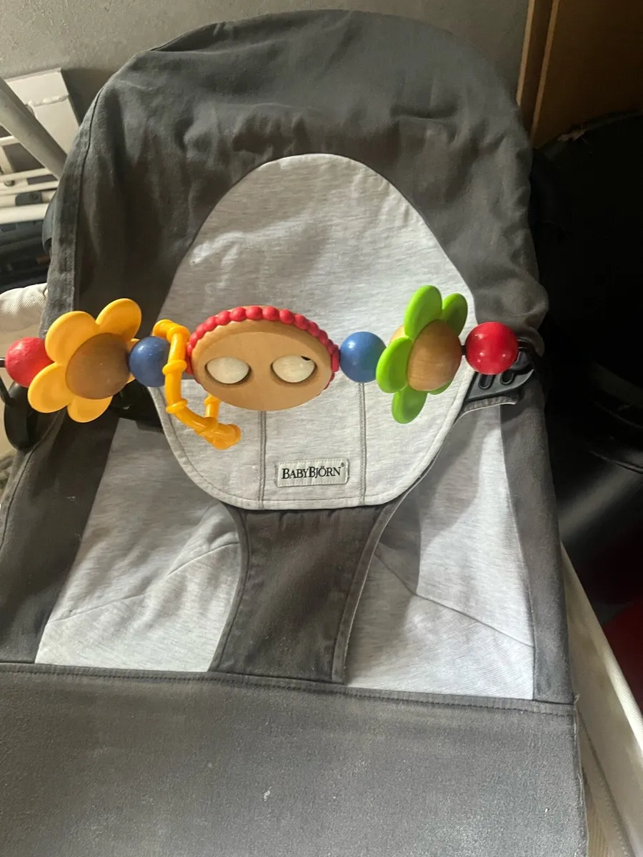 Baby bjorn bouncer