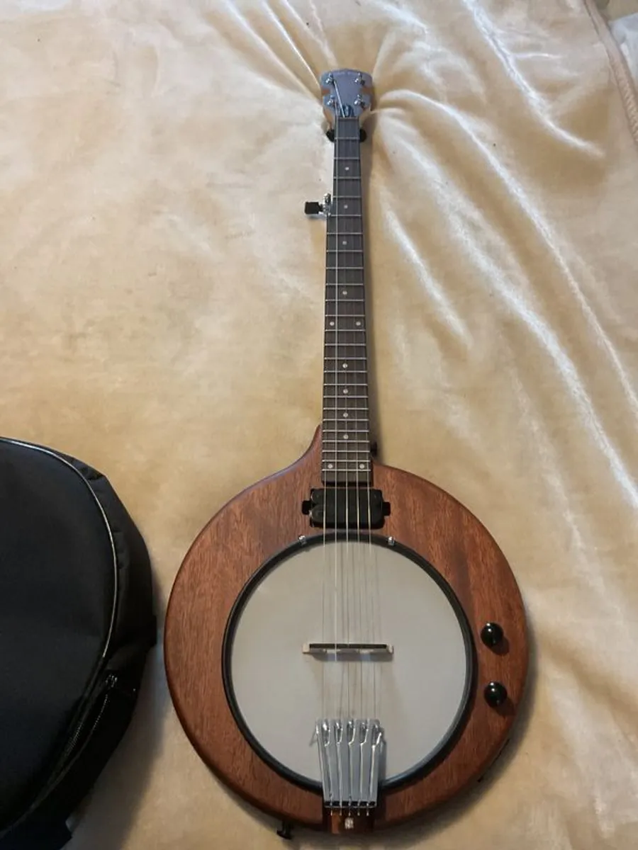 Gold Tone eb5 withpickup. With case. - Image 2