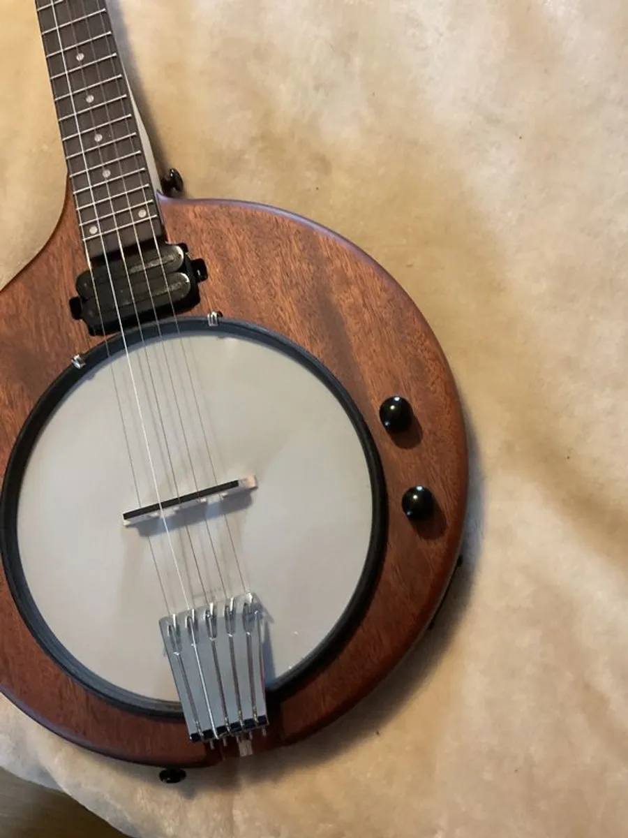 Gold Tone eb5 withpickup. With case. - Image 3