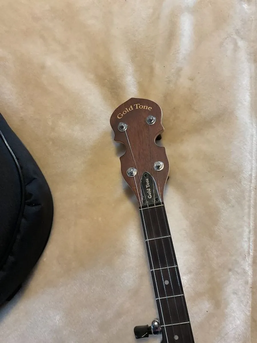 Gold Tone eb5 withpickup. With case. - Image 4