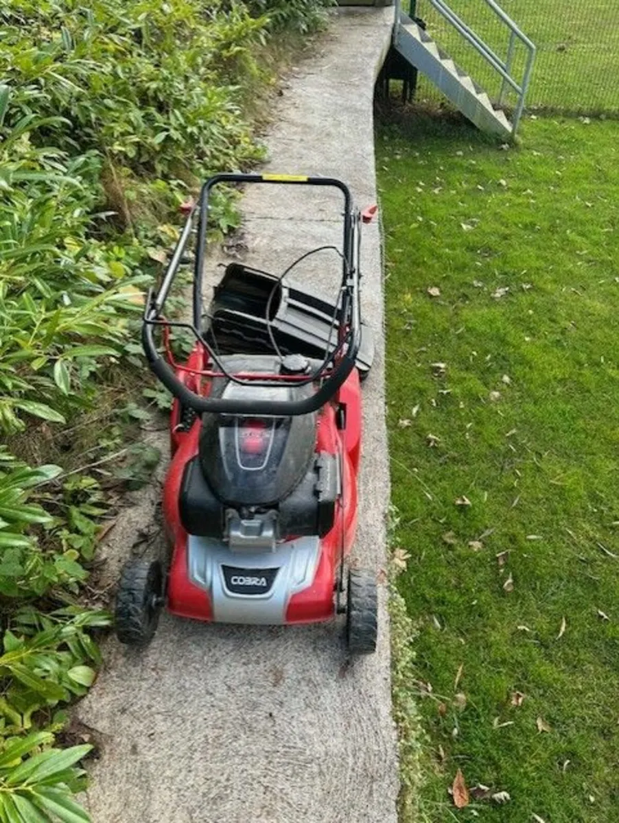 Cobra Honda RM46SPH roller mower - Image 3