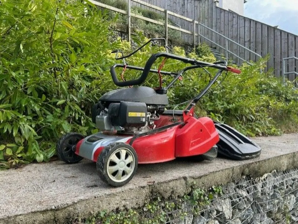 Cobra Honda RM46SPH roller mower - Image 1
