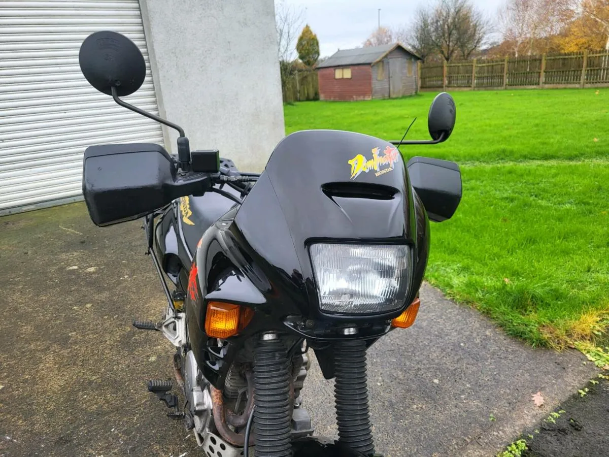 Suzuki gs550b 1977 - Image 3