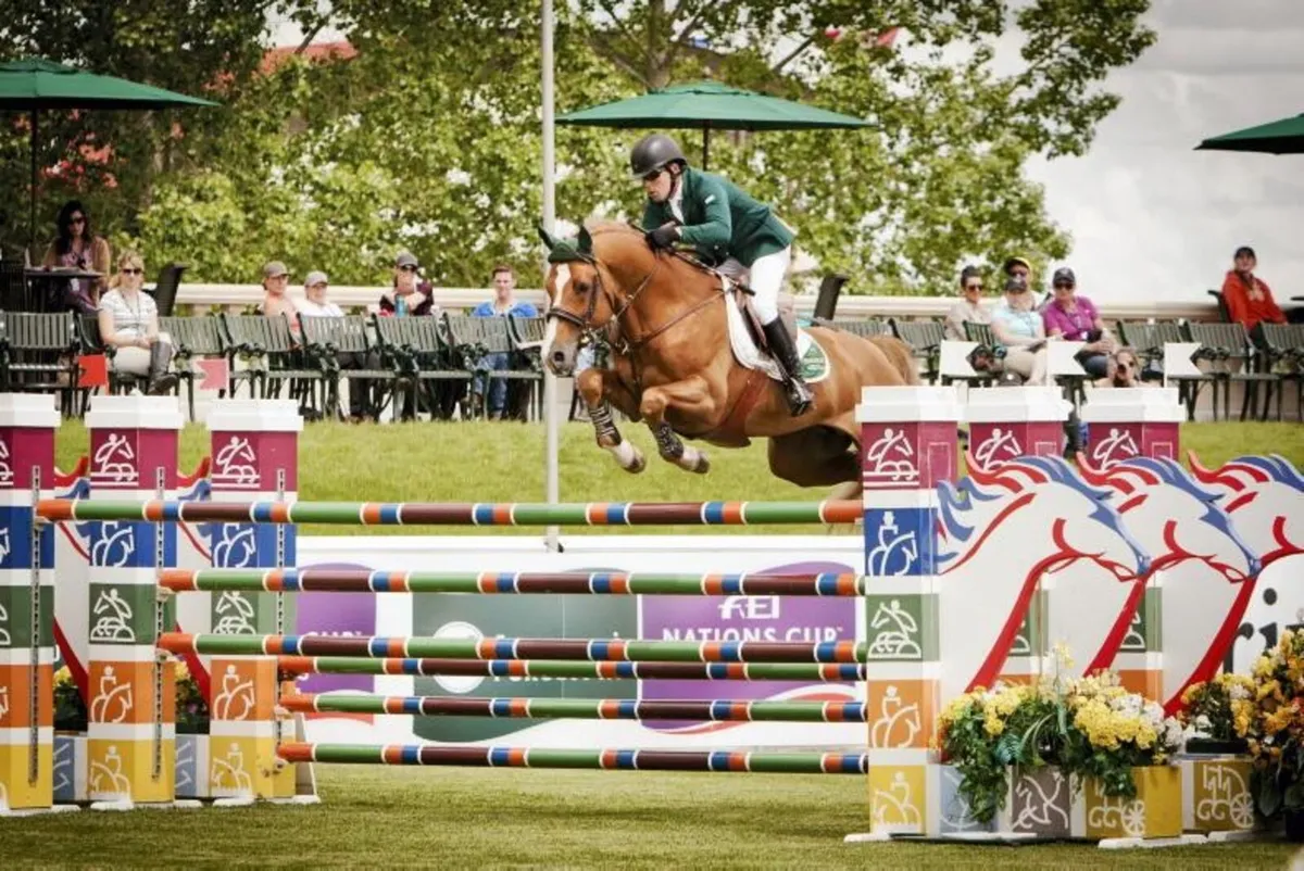 Lansdowne X Abdullah (Trak) X Conspiracy filly - Image 1