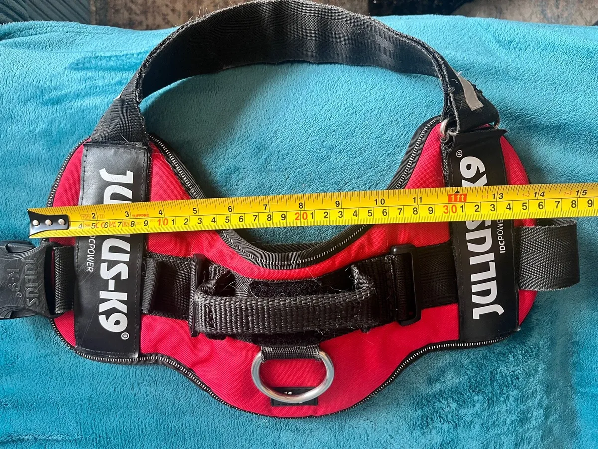 Dog crates and K9 harness - Image 1