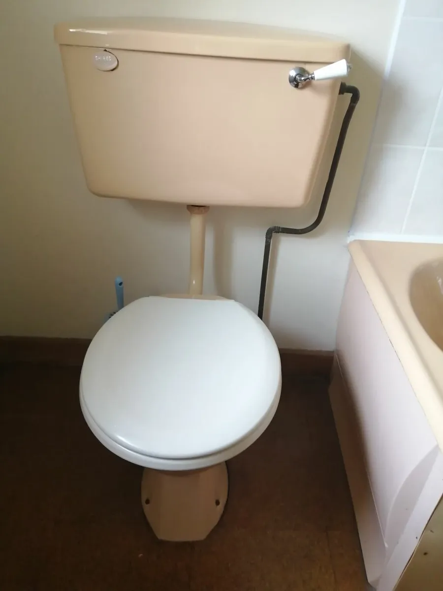 Retro Bathroom Suite - Image 4