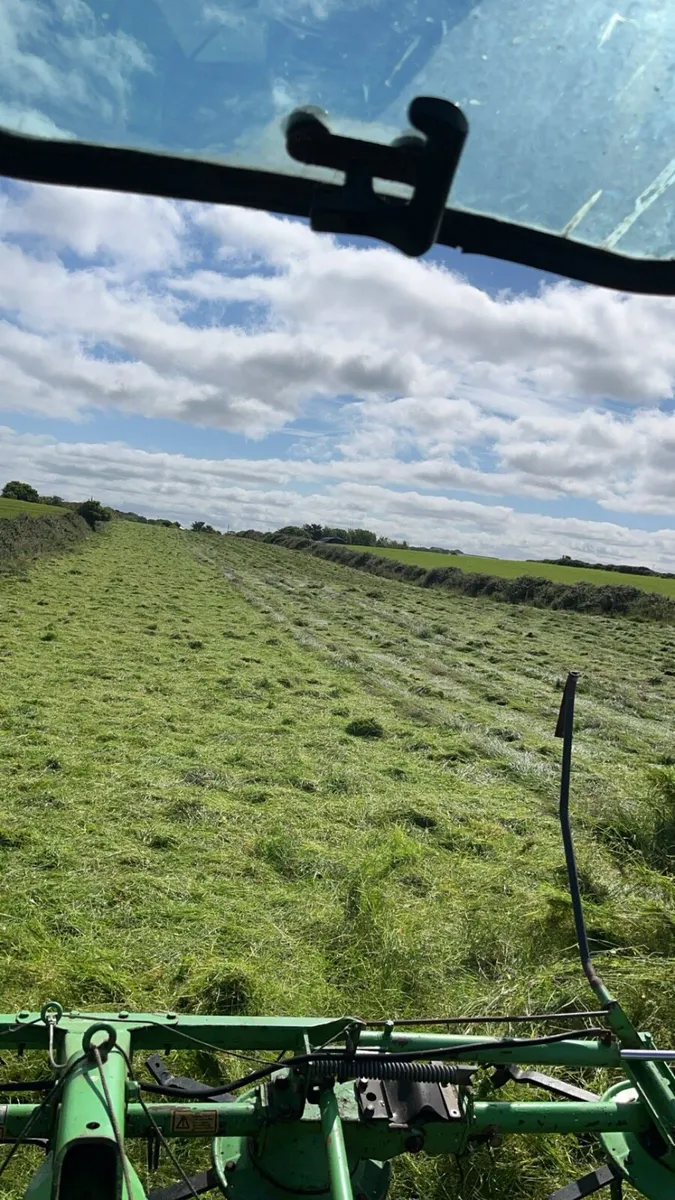 6 Rotor Tedder - Image 2