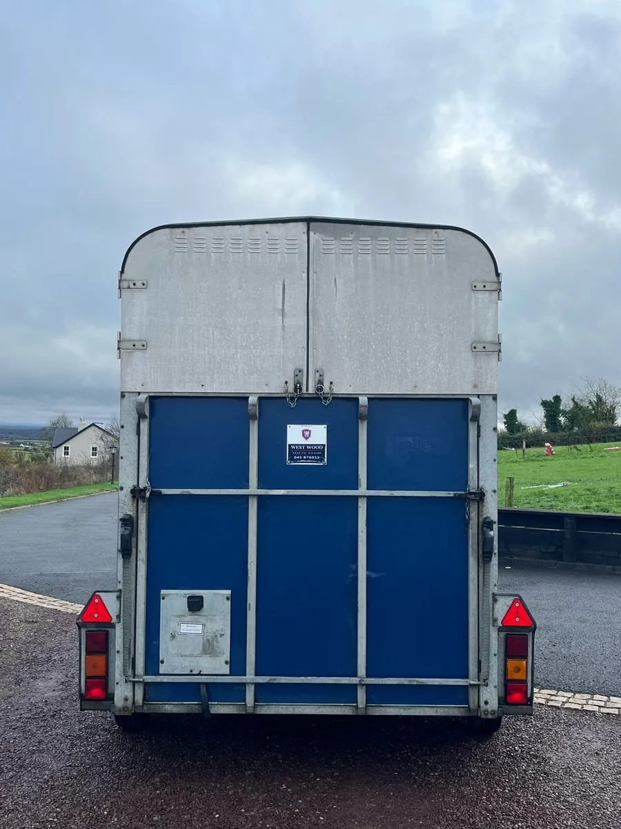 IFOR WILLIAMS 510HB - Image 2